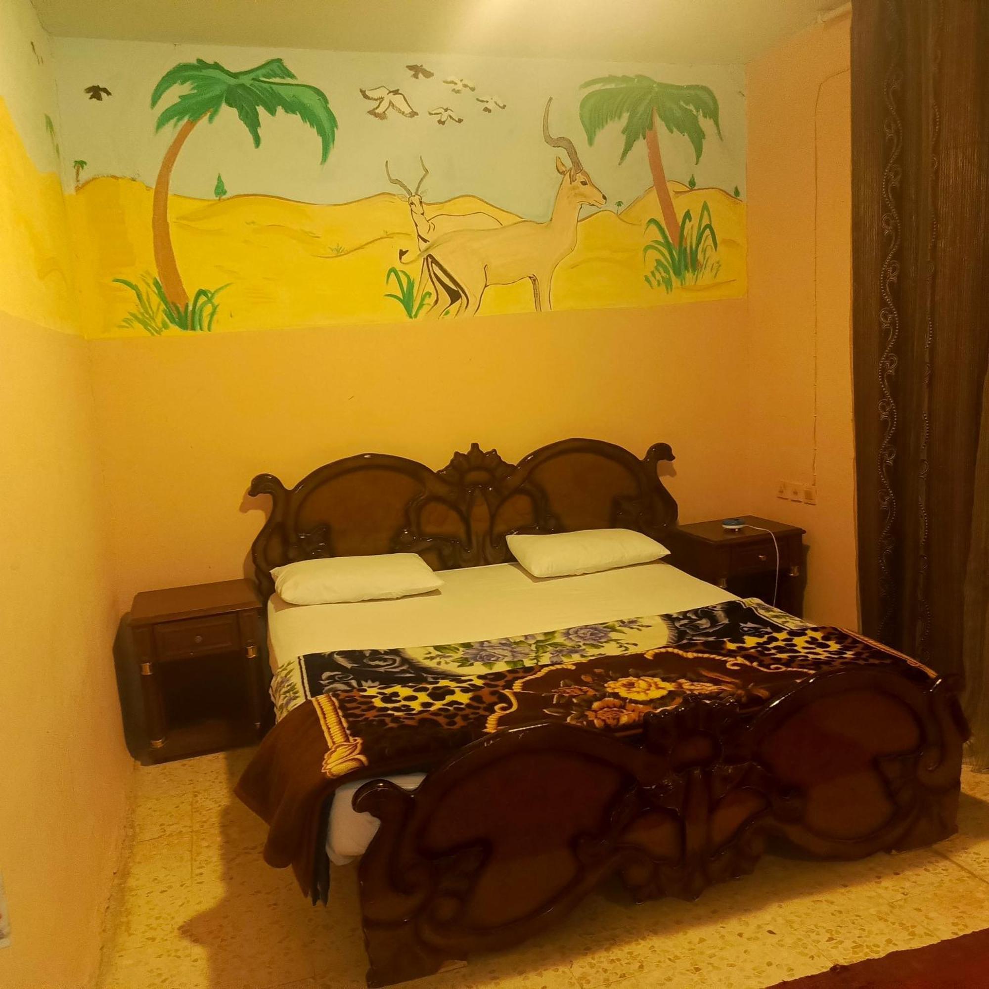 Dana Moon Hostel エクステリア 写真